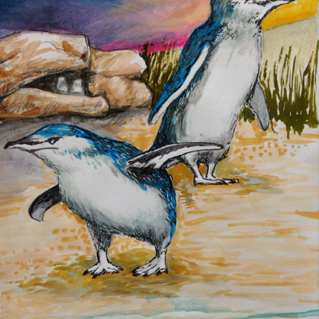 Penguins 240